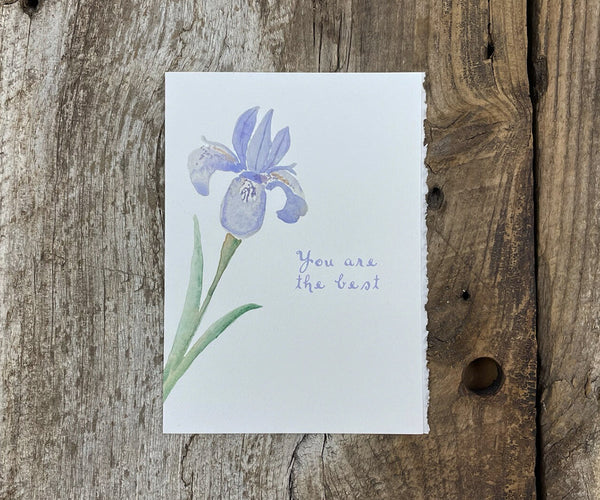 Love/Friendship Cards