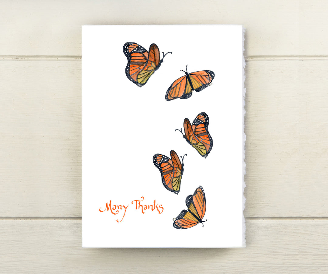 Monarch butterflies thank you card