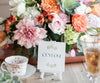 Succulents table number Geneve Hoffman Photography