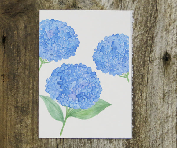 3 Hydrangeas