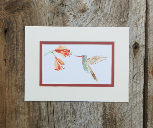 Hummingbird Mini Print