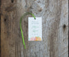 Encircled with Greens Favor Tags