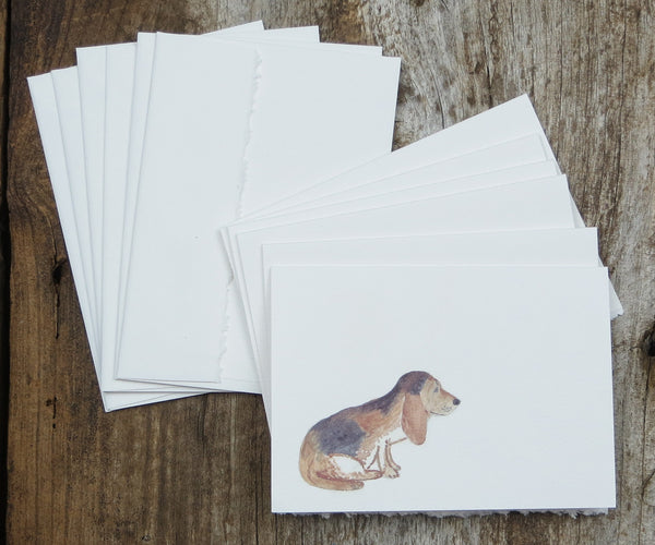 Basset Hound Notes