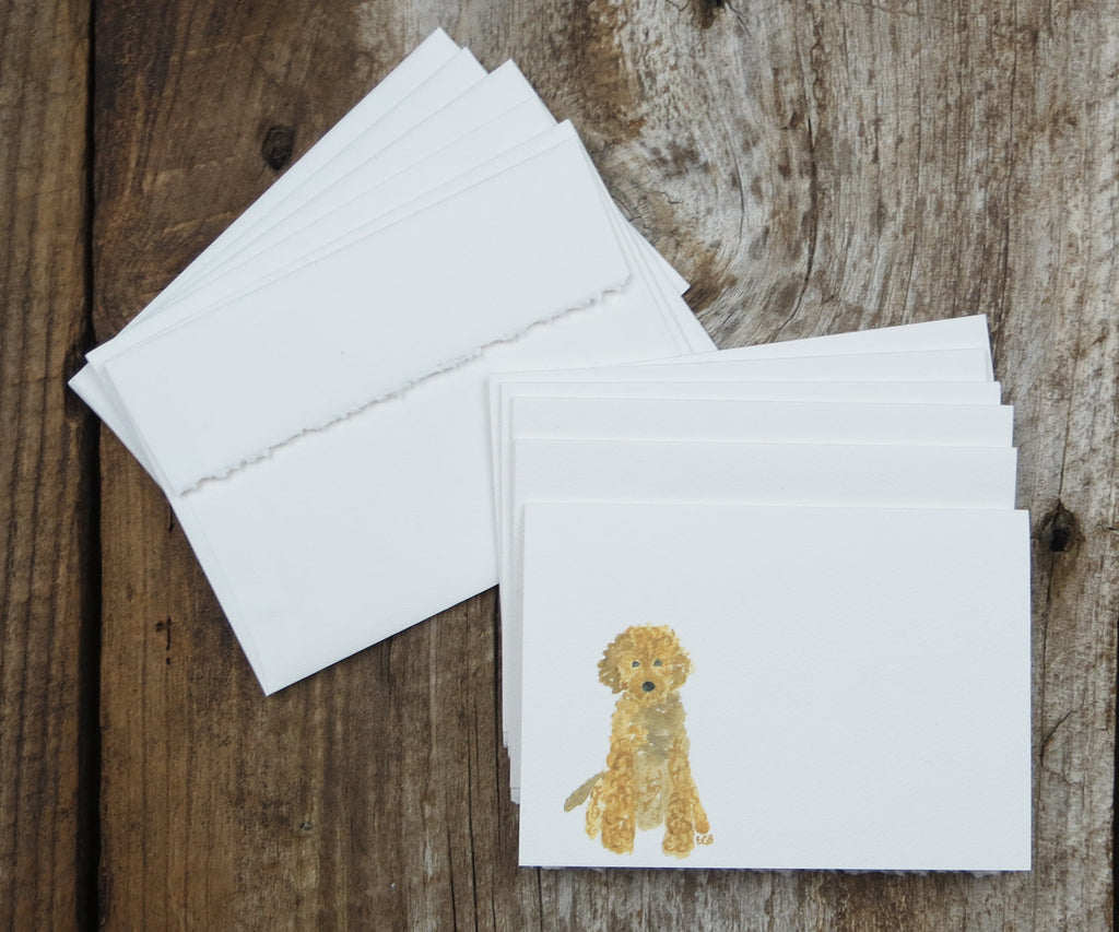 Goldendoodle Notes