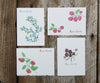 Mixed Berries Notes