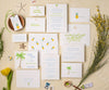 Tropical Melange wedding invitation full suite