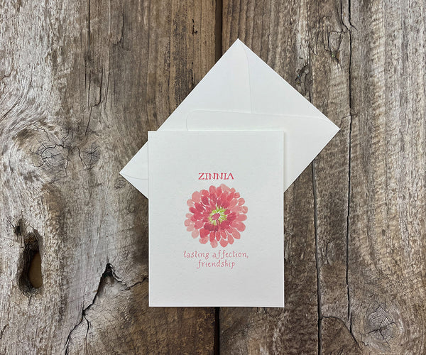 Zinnia flower