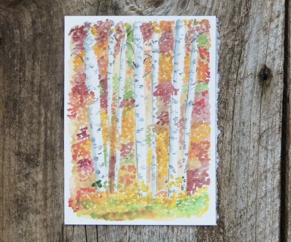 fall trees