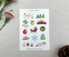 Christmas sticker sheets