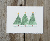 Evergreens Holiday