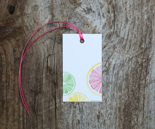 Citrus Slices Gift Tags