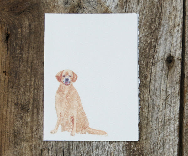 Golden Retriever Pet Card