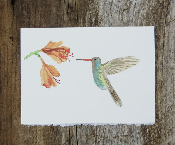 Hummingbird Card