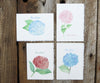 Single Hydrangea Notes