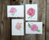 Summer Peonies Notes