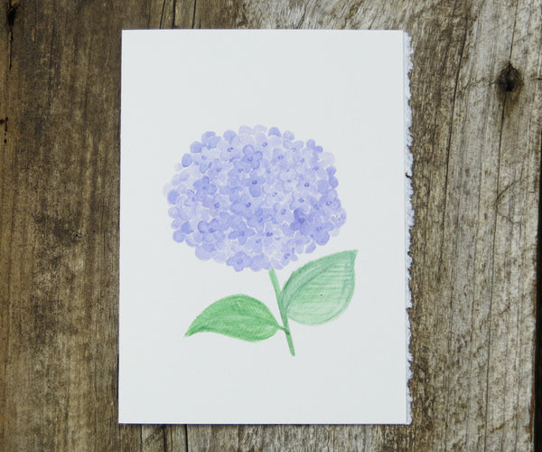 purple hydrangea