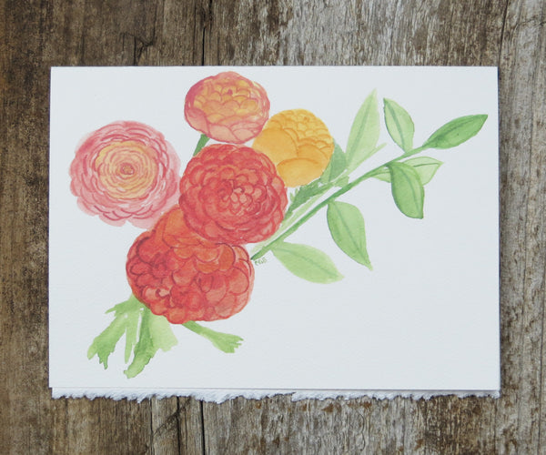 ranunculus