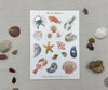 The Sea Sticker Sheet