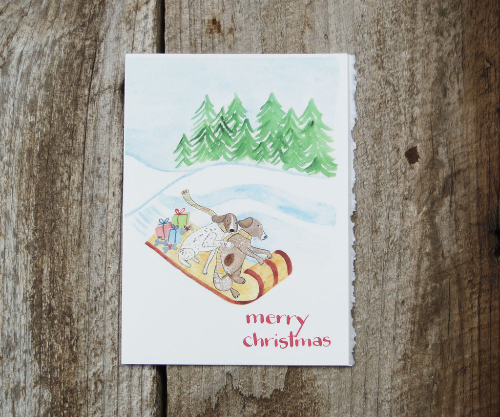 sledding dogs