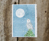 Snowy Owl