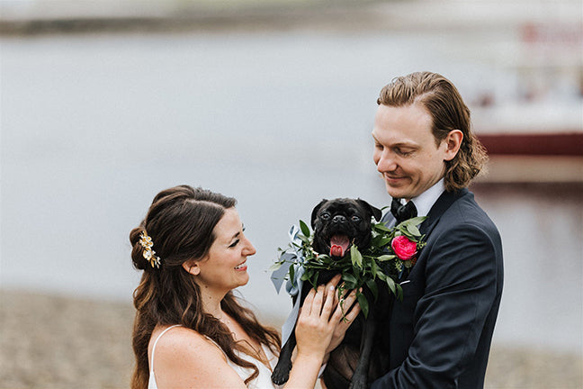 wedding couple with their dog