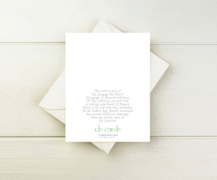 Rose (red) Note Cards