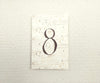 conch shell table number