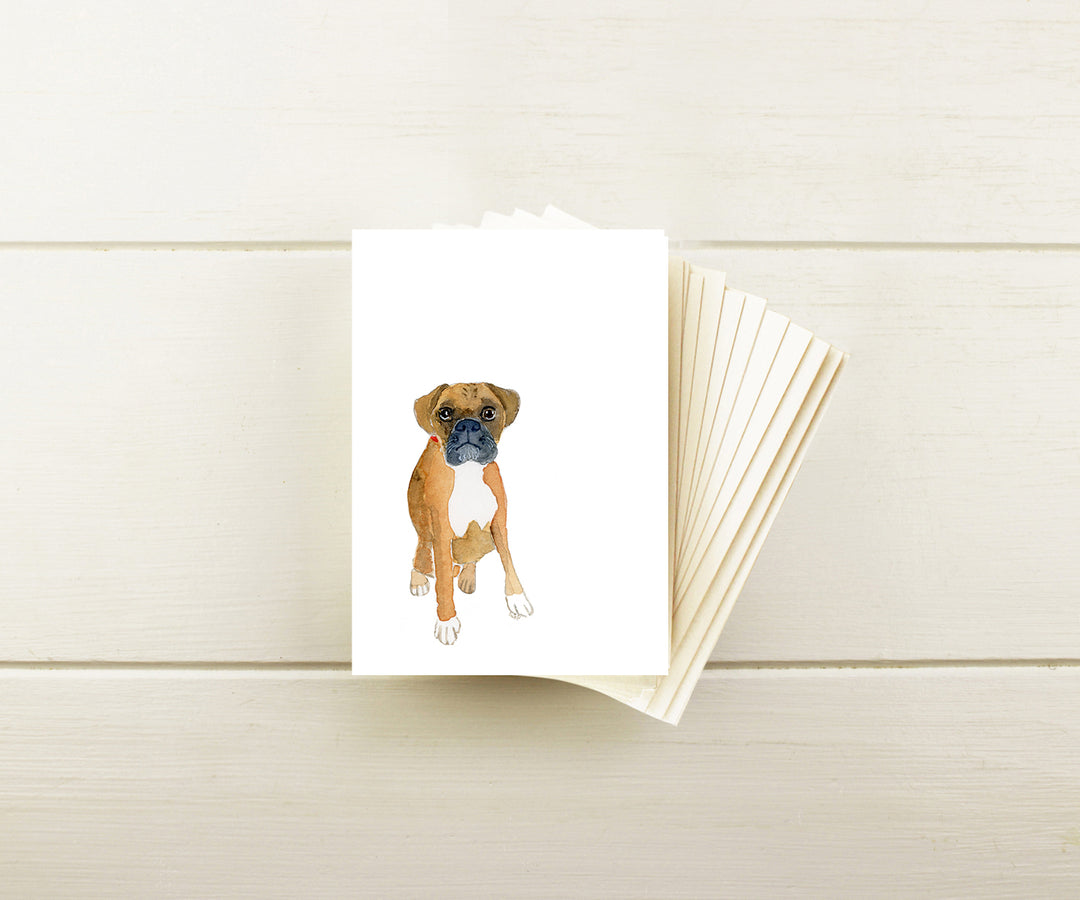 Boxer Note Cards