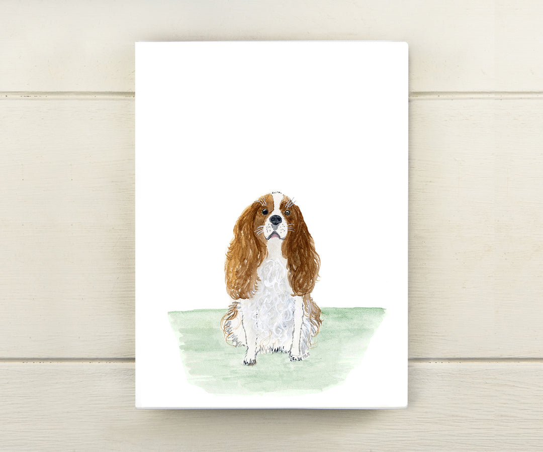 Cavalier King Charles Pet Card