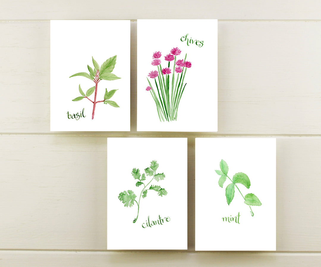 Garden Herbs Note Cards