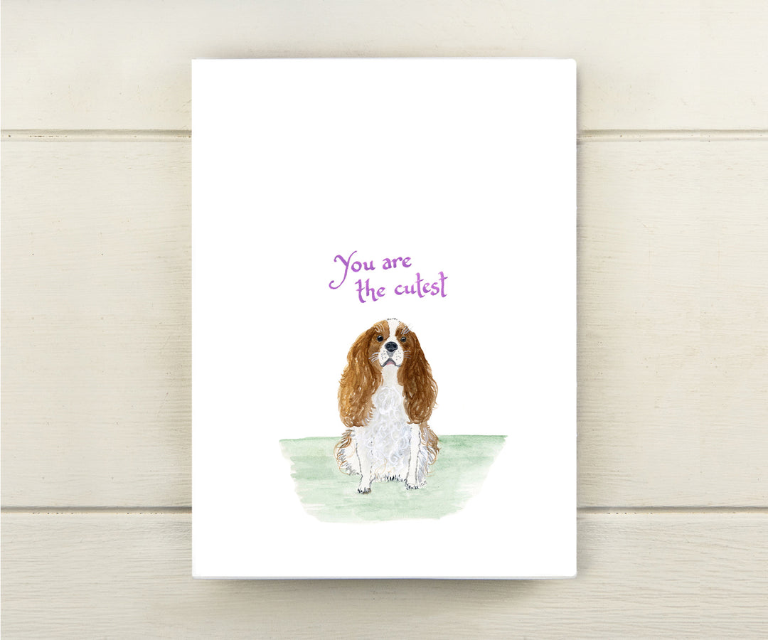 King Charles Spaniel Card