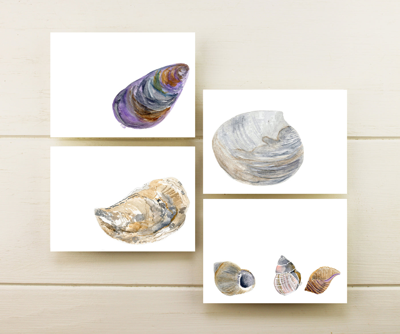 Local Shells Note Cards – El's Cards