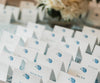 mussel shell place card photo by Molly Breton