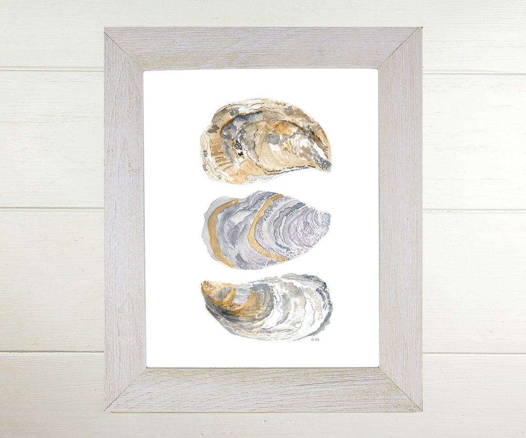 Oyster Shells Print