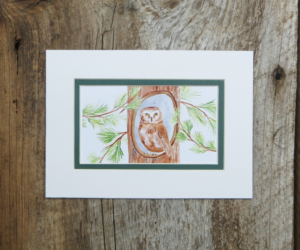 Mini Print Burrowing Owl