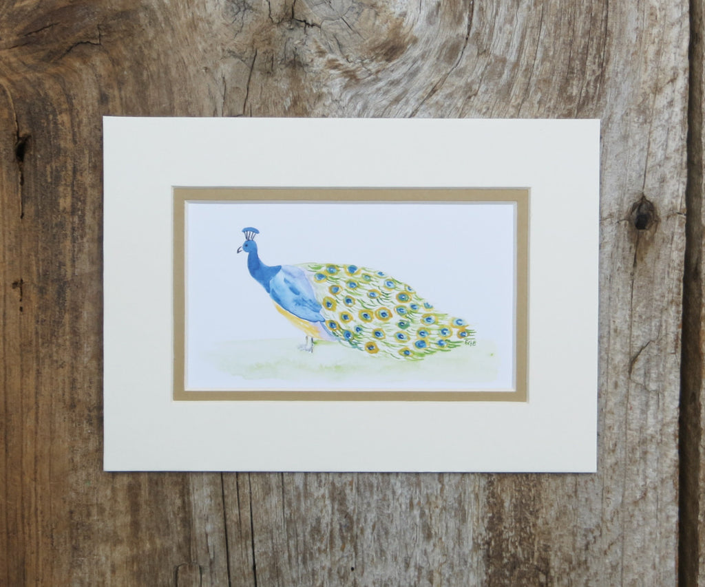 Peacock Mini Print