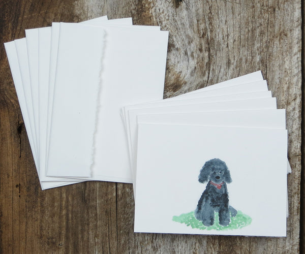 labradoodle note cards