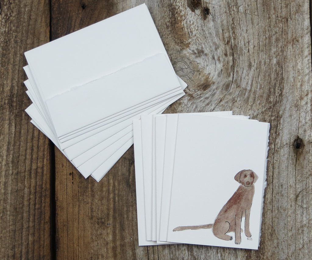chocolate lab note card