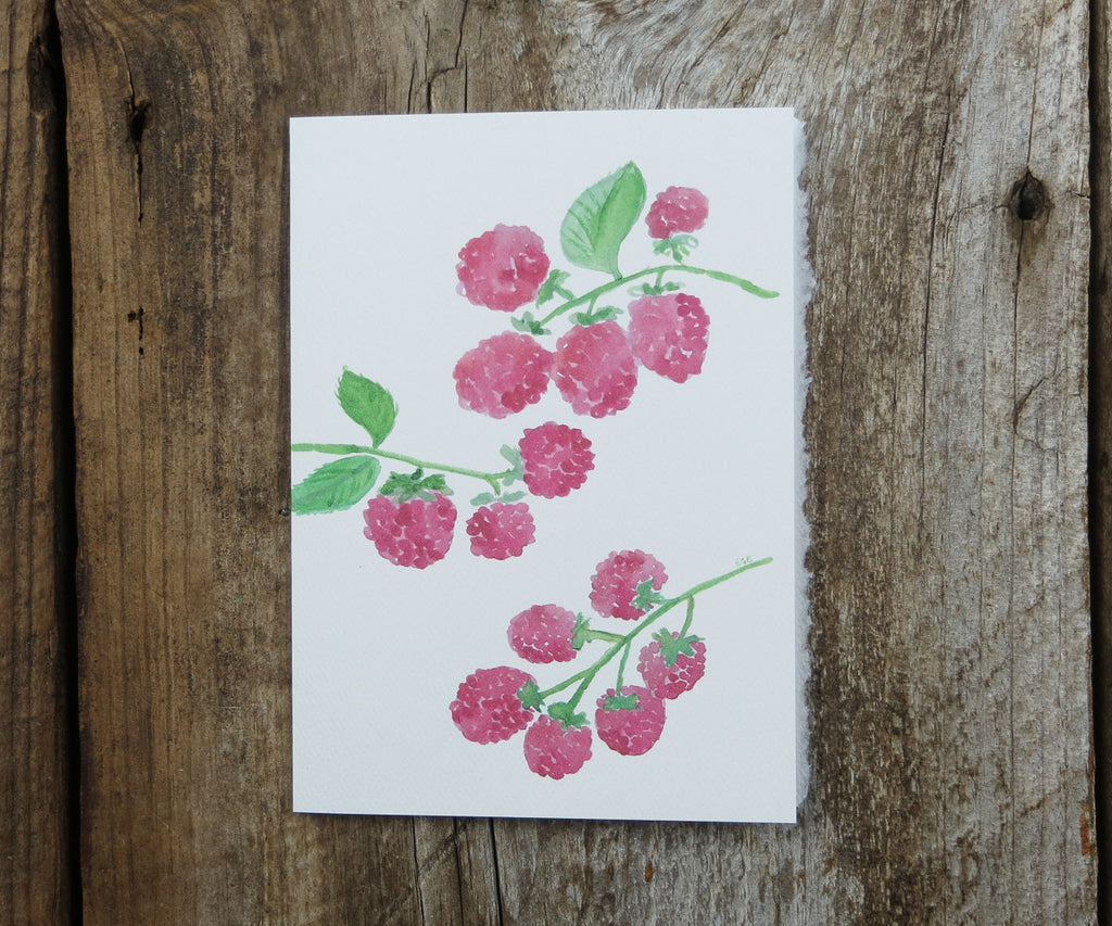 Fresh Raspberries Card