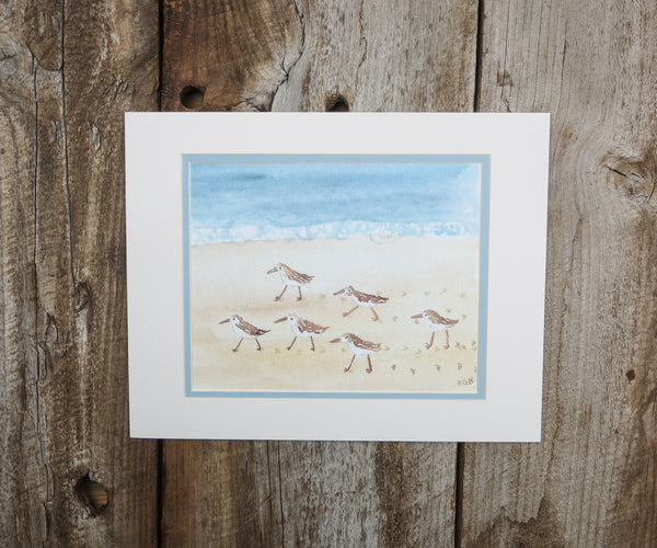 piping plover print