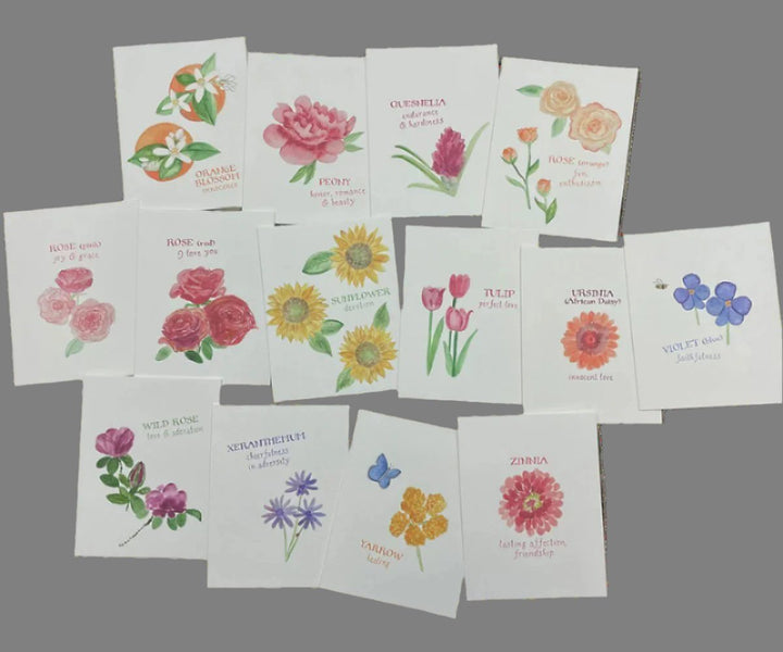 language of flowers O-Z