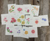 Watercolor floral cards