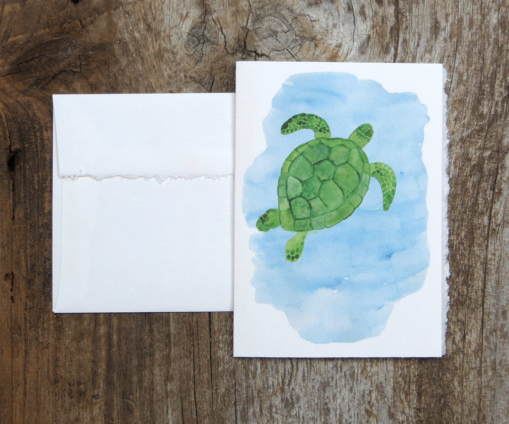sea turtles note cards