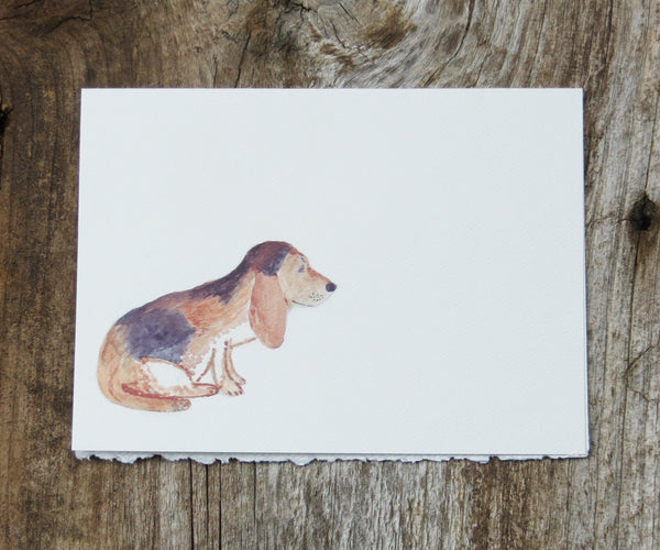 Beagle Pet Card