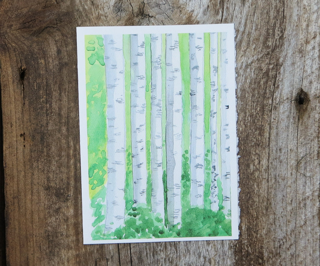 summer birches