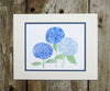 blue hydrangeas print