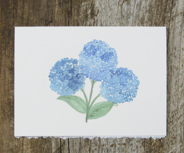 blue hydrangea 3