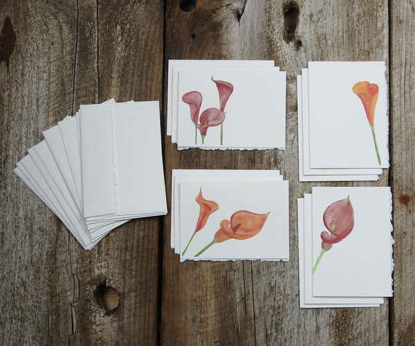 Calla Lily Mixed Note Cards, El's Cards