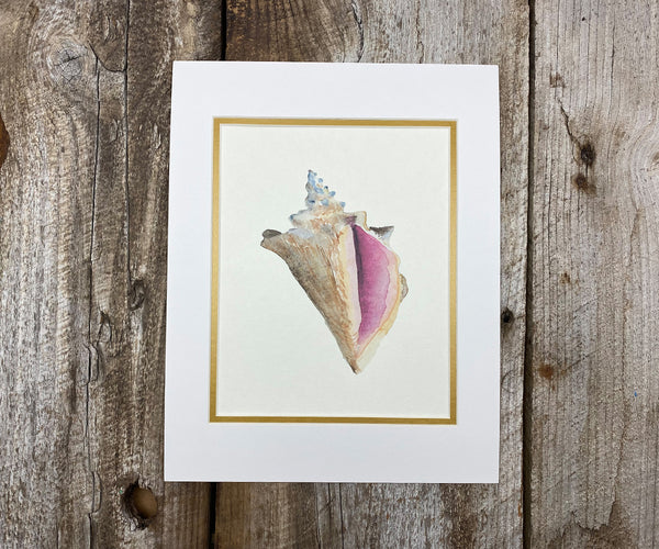 conch shell print