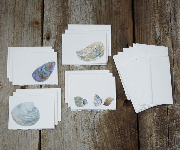 Small Note Cards Beach Shells Set, Mini Gift Note Card Set - studiotuesday